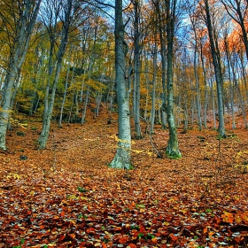 Есен в планината