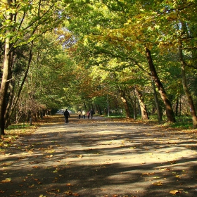 Разходка в парка