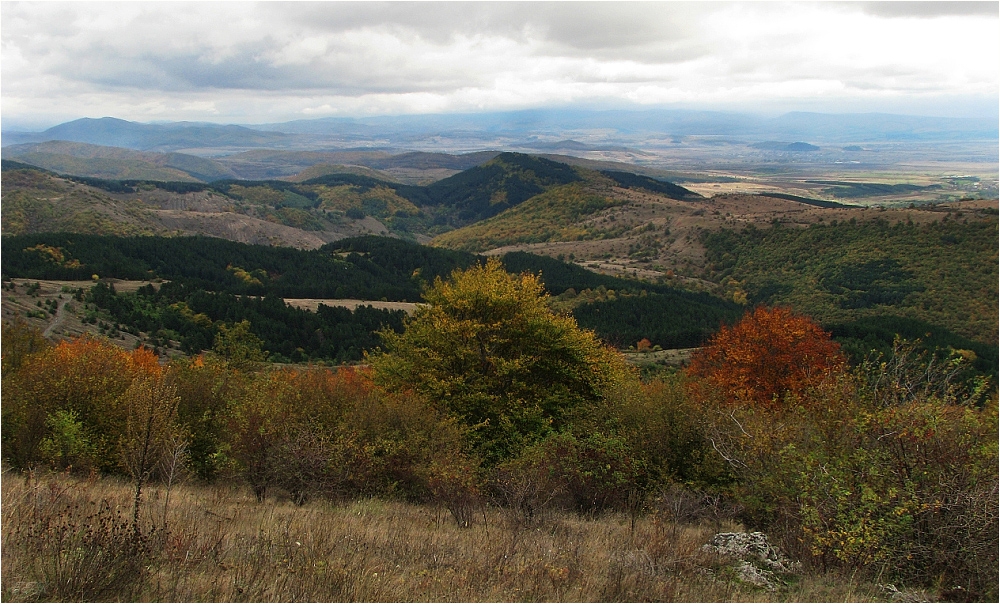 Старопланински мотив