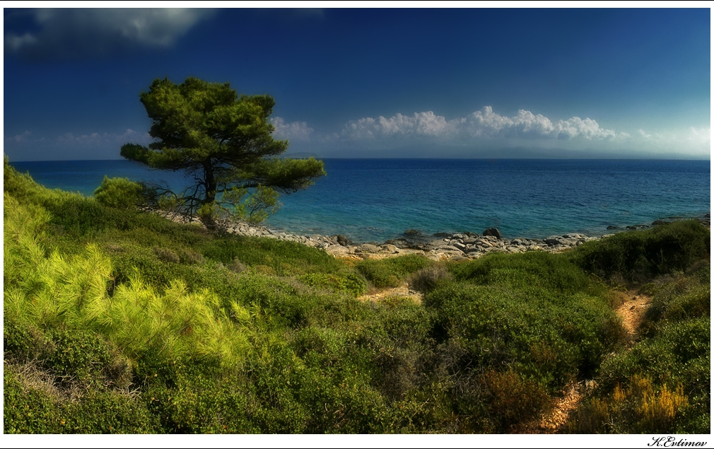 - My Big Fat Greek... Dream -
