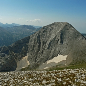 Гигант