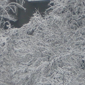 Скрежна красота! 12.2009