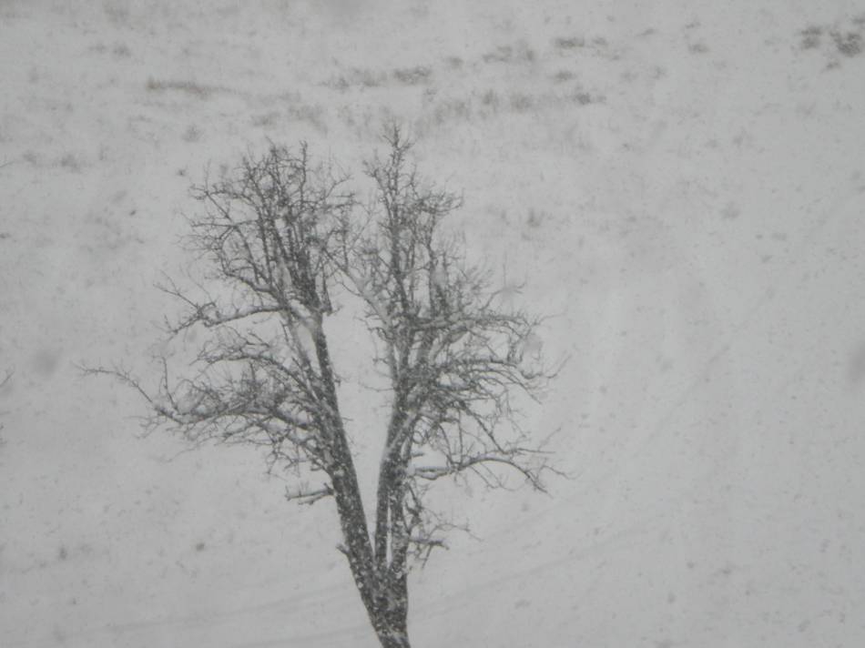 Самота.2010