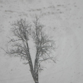 Самота.2010