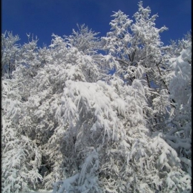 Вали, вали.