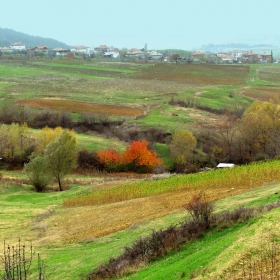 Притихнали в очакване на зимата