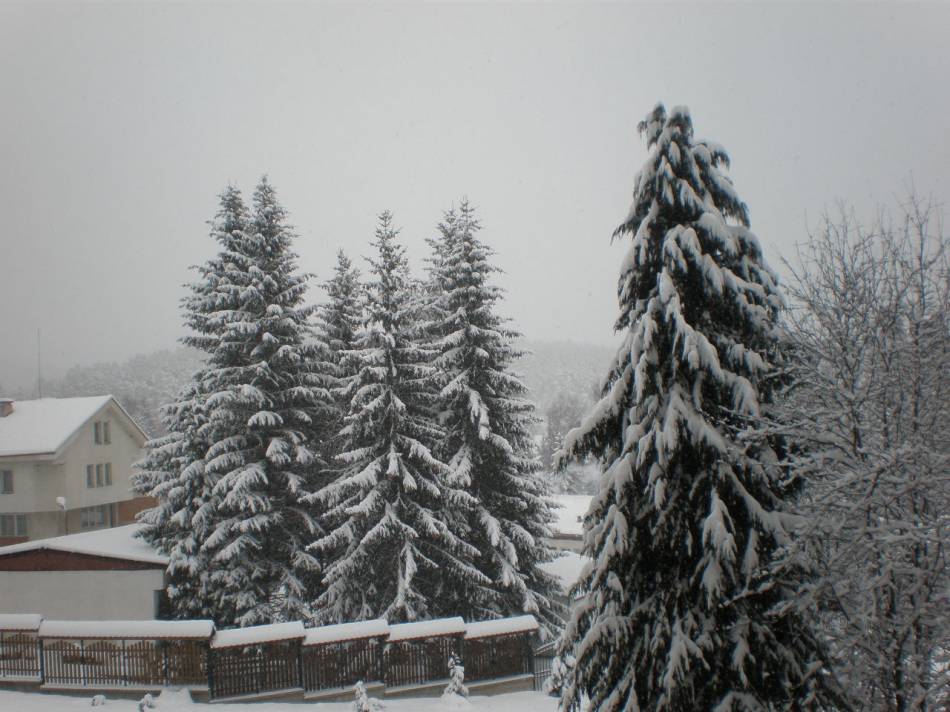 Юндола.2.2010