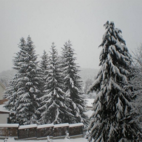 Юндола.2.2010