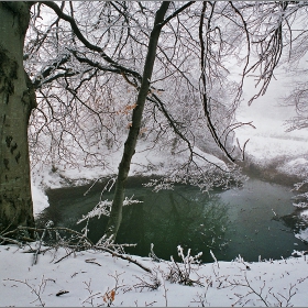 Мъгливата Мижишница