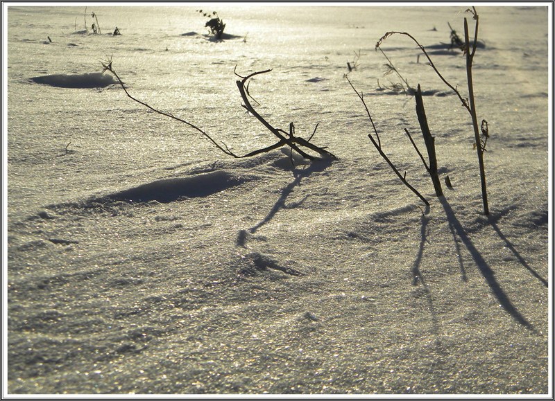 снежно