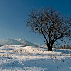 Зимно