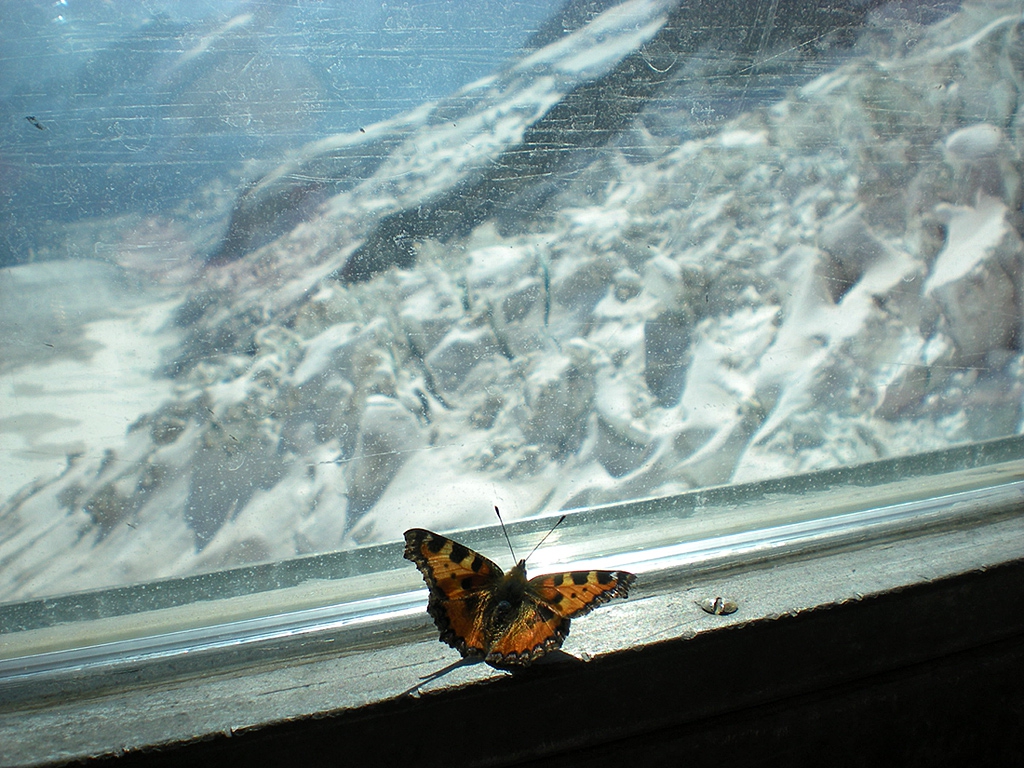 Ledena epoha ot Jungfraujoch, vurha na Evropa