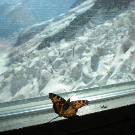 Ledena epoha ot Jungfraujoch, vurha na Evropa