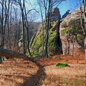В гората край скалите - 2