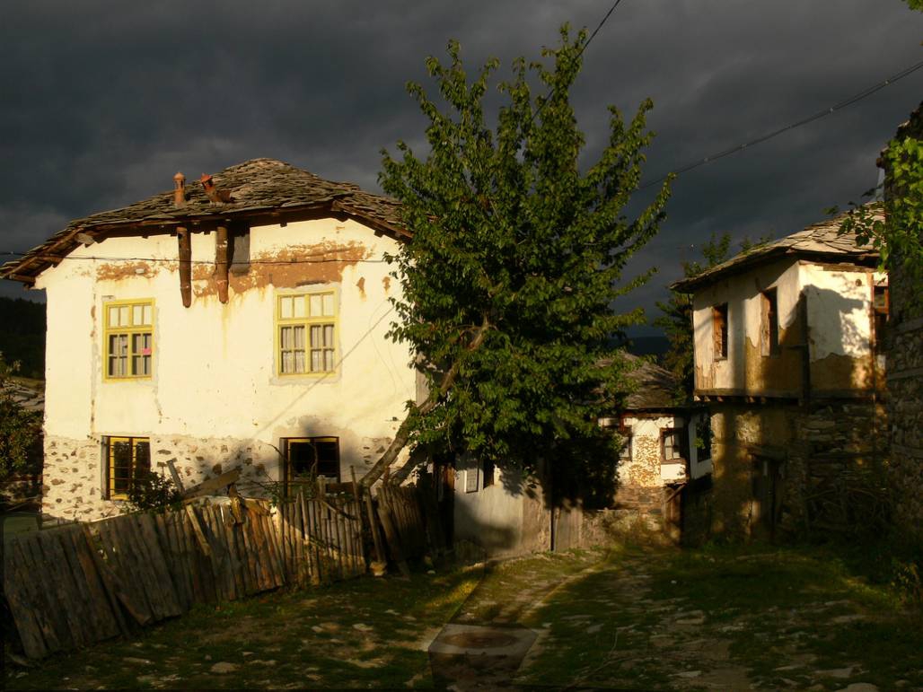 Село Долен