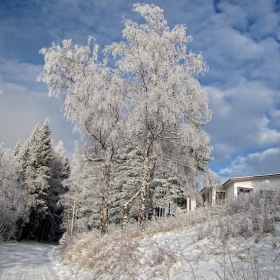 Беклемето-29.12.2010 г