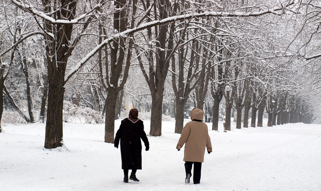 Алеята в парка.31.12.2010г.