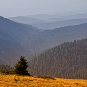 През девет планини в.......