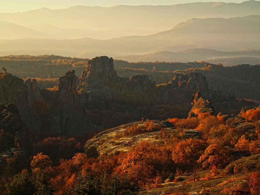 Форми