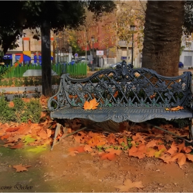 Un paseo por Granada 6