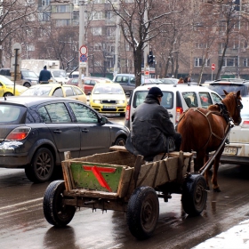 На червен светофар всички са нервни