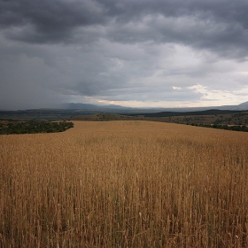 пред нас са блеснали житата ...