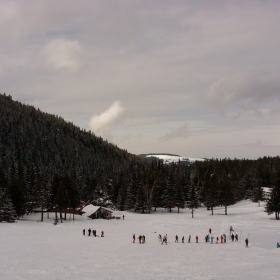 Мальовица - 16.02.2010 г.