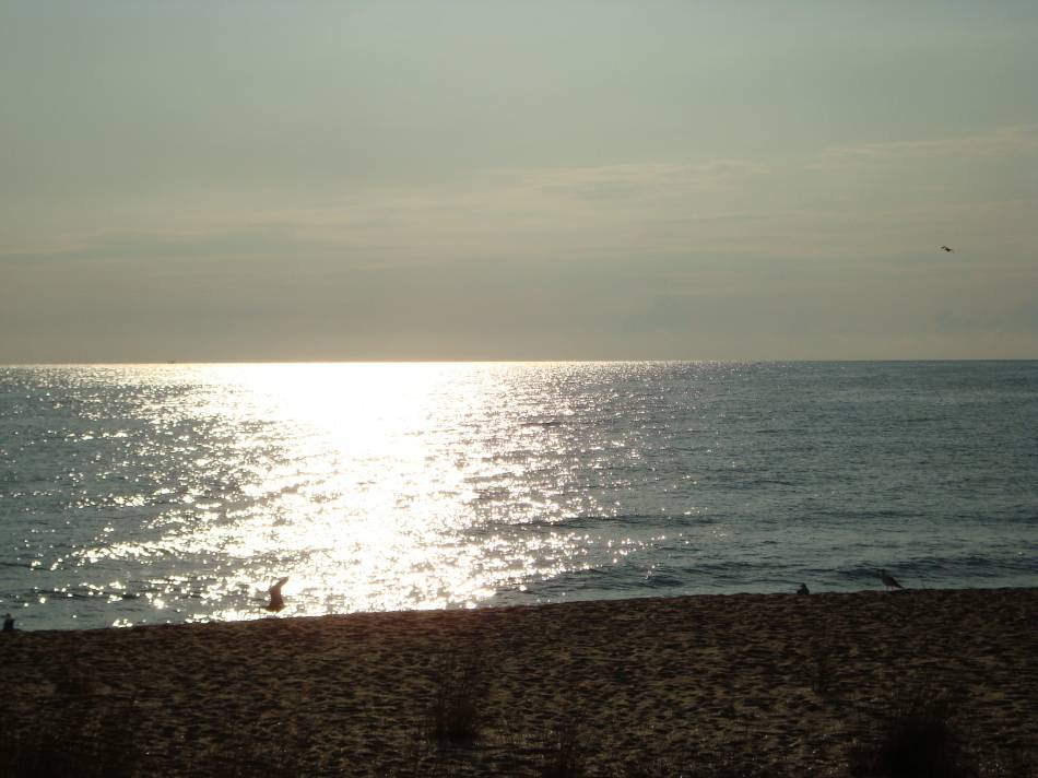 МоРеНце