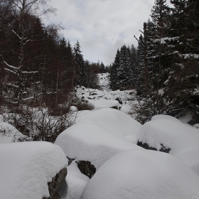 Заснежени Морени