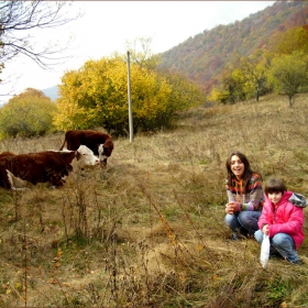 Рилски кравички :)