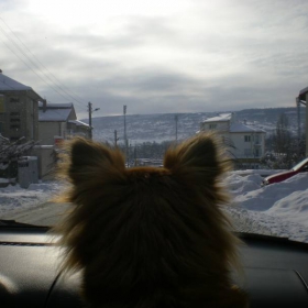 на път