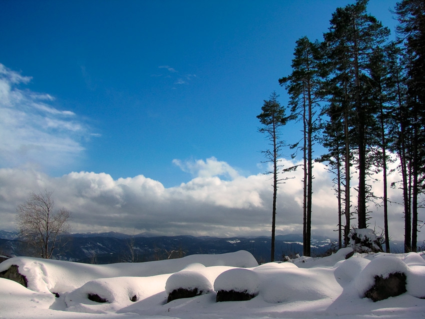 Зимна панорама
