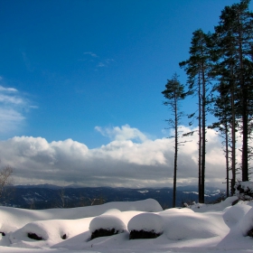 Зимна панорама