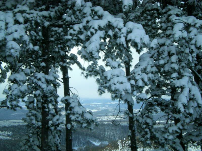 поглед към долината