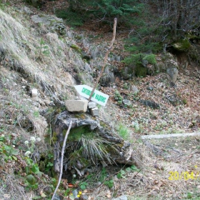 sitovo