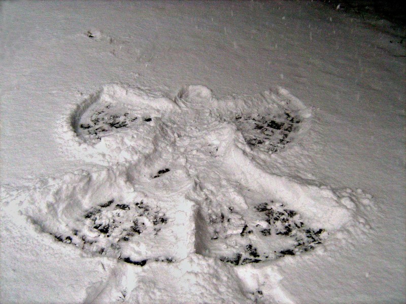 Angel