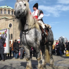 Навръх Тудорица 20-и февруари (събота) 2010 г. - най-вълнуващата кушия по паветата на София !(11)