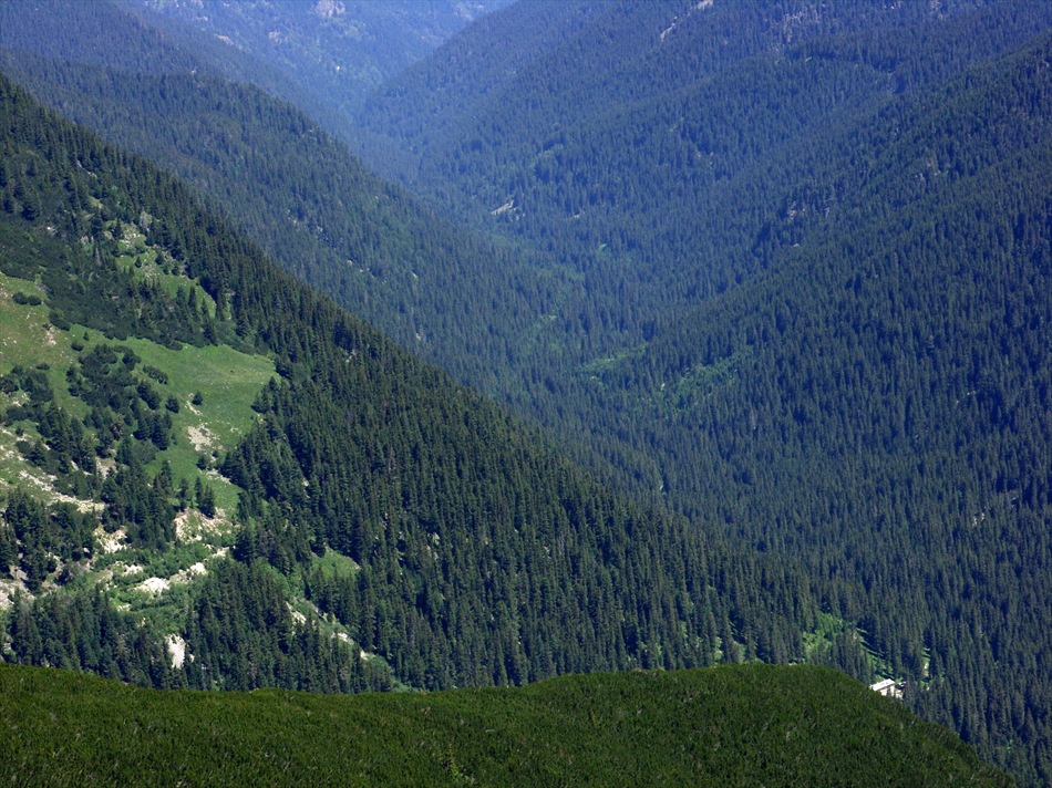 Гора
