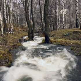 Всяко поточе става река