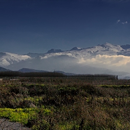 Сиерра Невада  -  Sierra Nevada