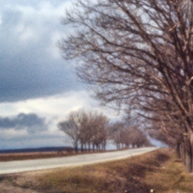 the windy way to spring