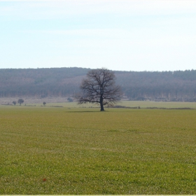Самотен