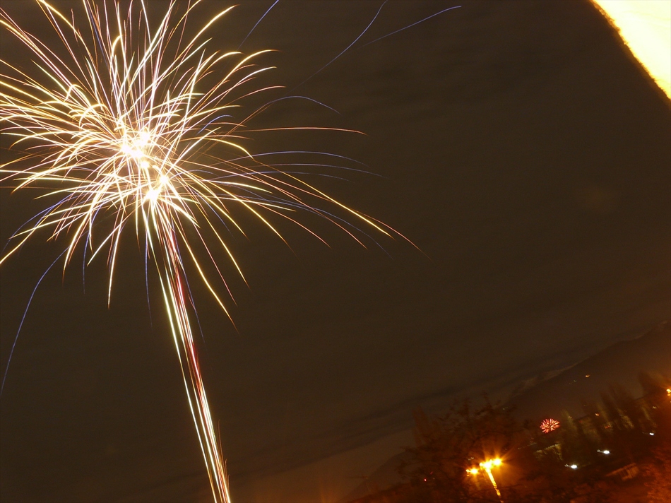 нова година 2010