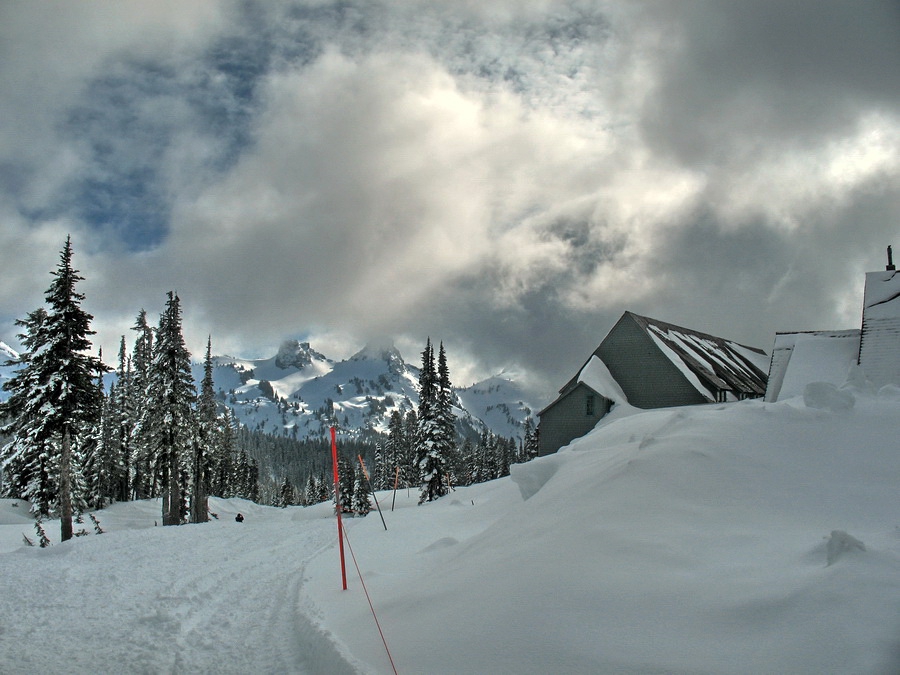 Rainier Mt. (март 2008)