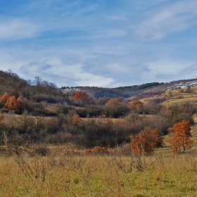 Средногорски пейзаж