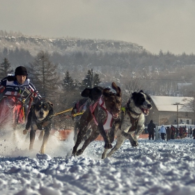 Sled dog racing Czech republic cup 2010