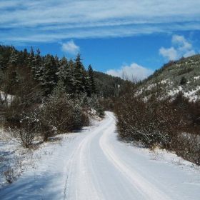 a village road