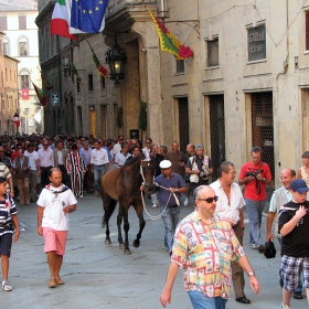 преди Palio,Siena