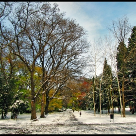 Неделно-сутришна снежна Варна /12.2009/