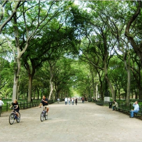 Central Park